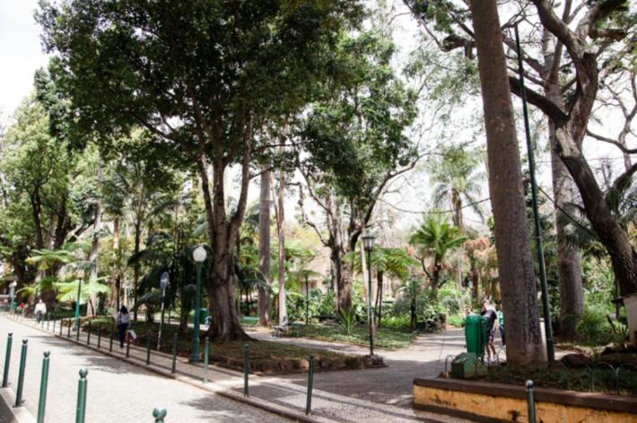 Central Funchal Apartment - Garden - Free Parking & Ac Exterior photo